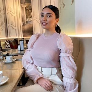 Zara Organza Sleeve Ribbed Knit Top